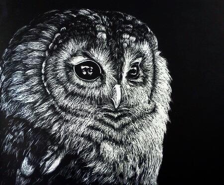 Scratch board Owl