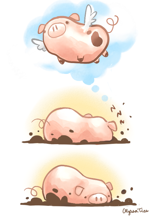 Pig Dreams