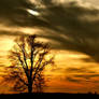 solitude