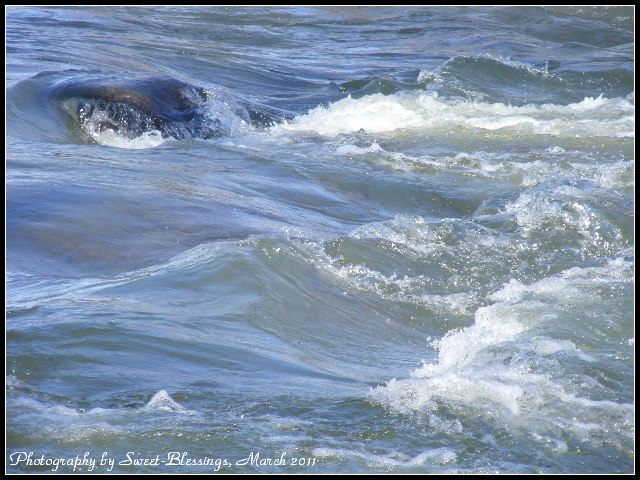 Blue Waves