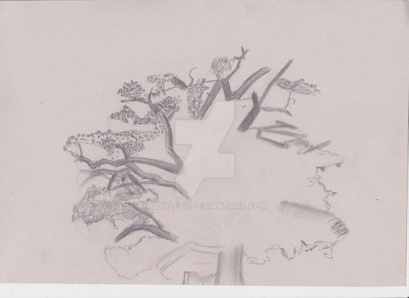2nd Drawing where I was interupted