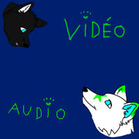 BlackWolf and Moon Video