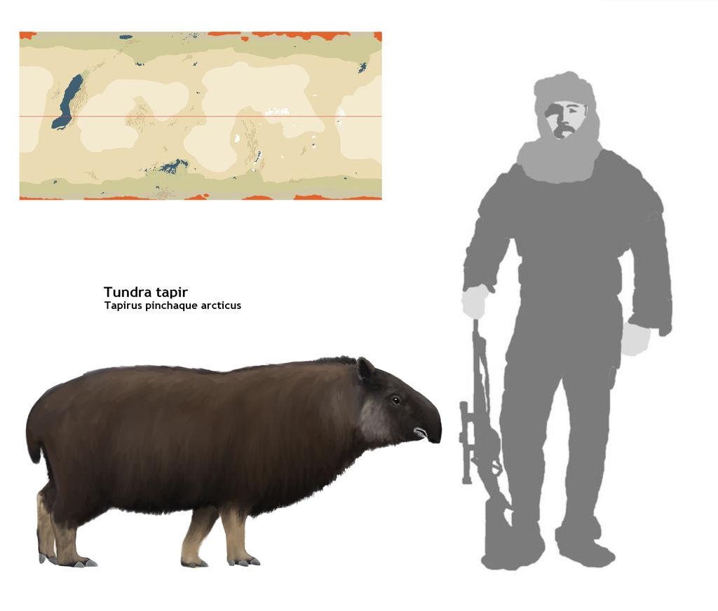 Tundra tapir