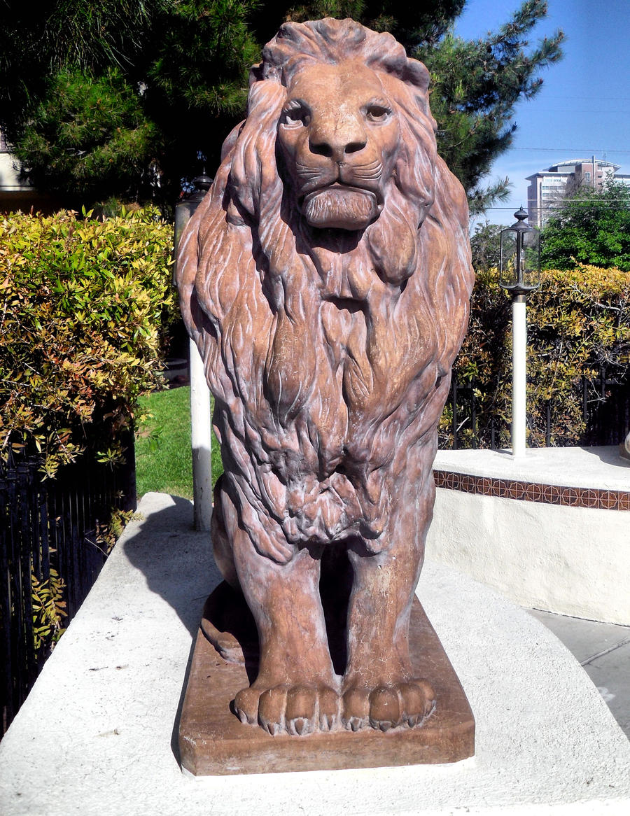 kras-stock 91- Lion 1