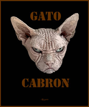 Gato Cabron my T shirt