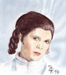 Princess Leia Organa by LoonaLucy