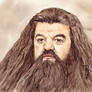 Rubeus Hagrid