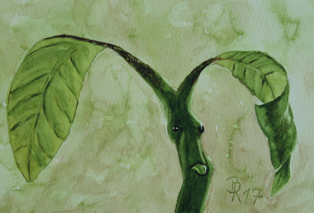 Pickett, the Bowtruckle by LoonaLucy Pickett, the Bowtruckle by LoonaLucy