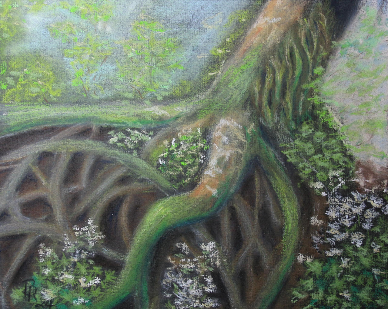 Strong roots by LoonaLucy on DeviantArt