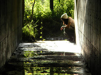 tunnel.