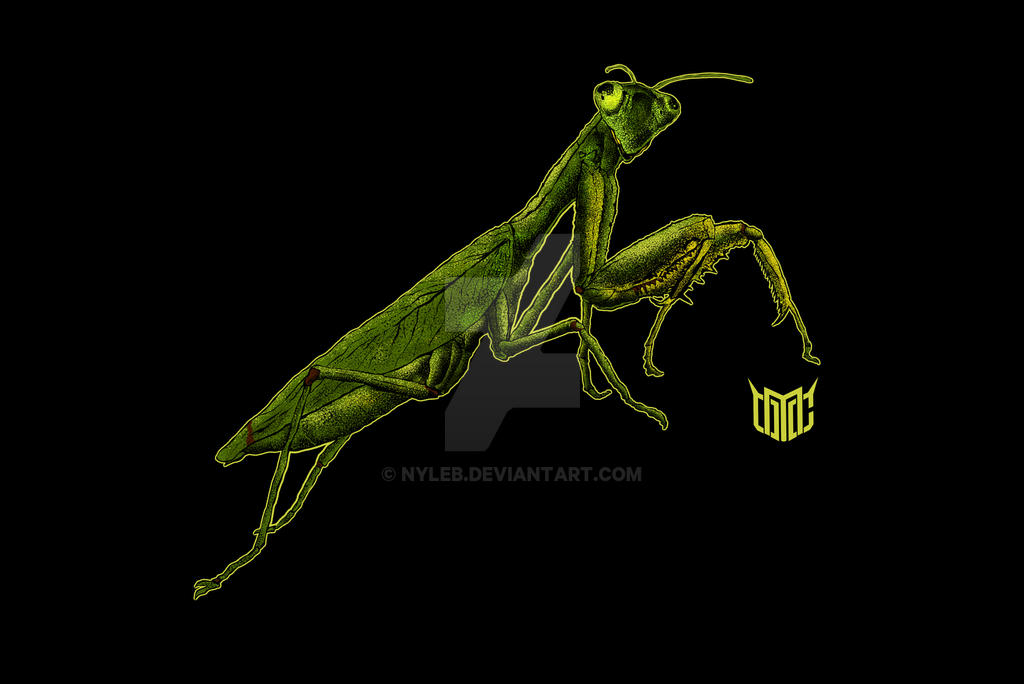 Mants Deviantart MANTIS by nyLeb on DeviantArt