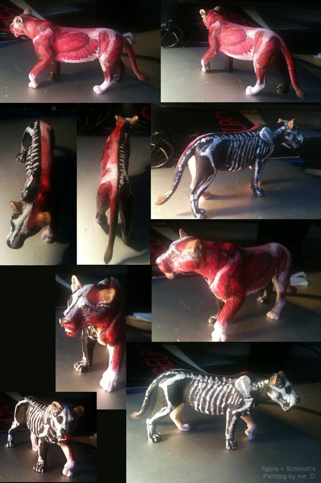 Anatomy Lioness Figure