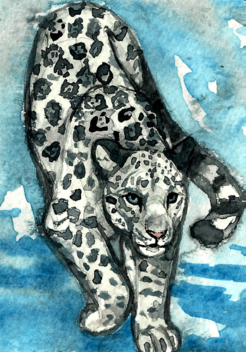 ACEO - White Jaguar