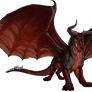 Exeorus