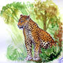Watercolor - Leopard
