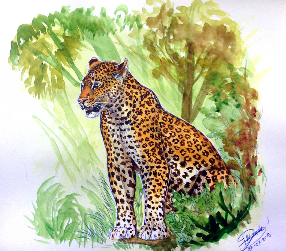 Watercolor - Leopard by RedbuzzarddArt on DeviantArt