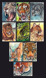 ACEO Wild Cat Series - Originals and Prints ETSY!