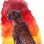 Watercolor - Sunset Cheetah (Patreon reward)