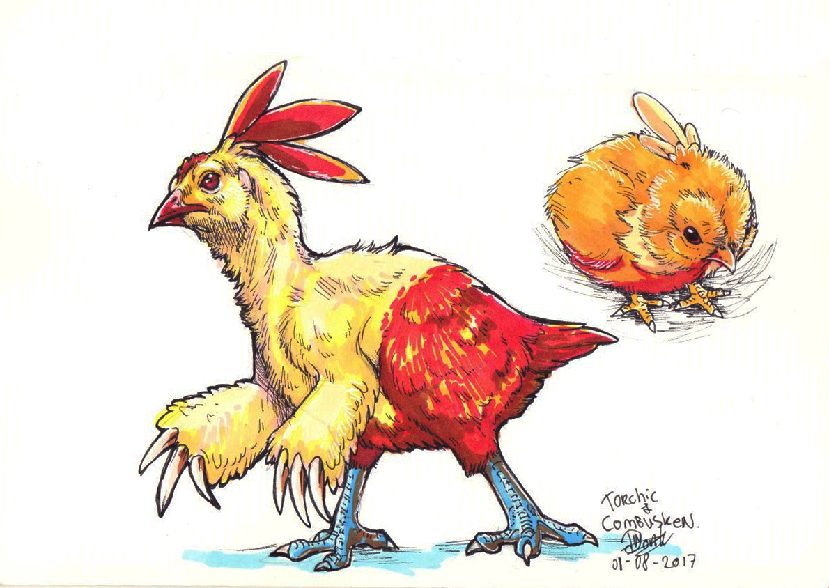 Daily drawings : Torchic and Combusken