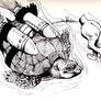 Inktober2017 - 2 -  Swift Tortoise