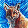 Watercolor - The Fox