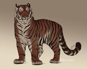 Tiger Sketch