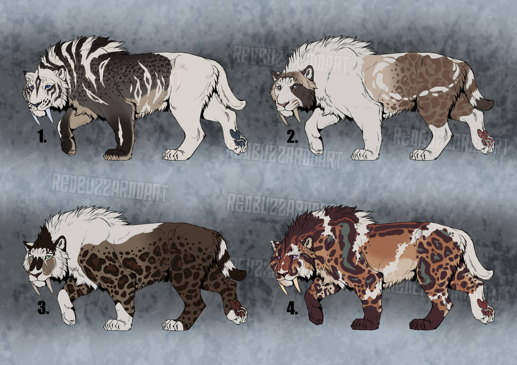 Calico Sabertooth Sabertooth Designs 3 - Available on Ko-Fi by RedbuzzarddArt on DeviantArt