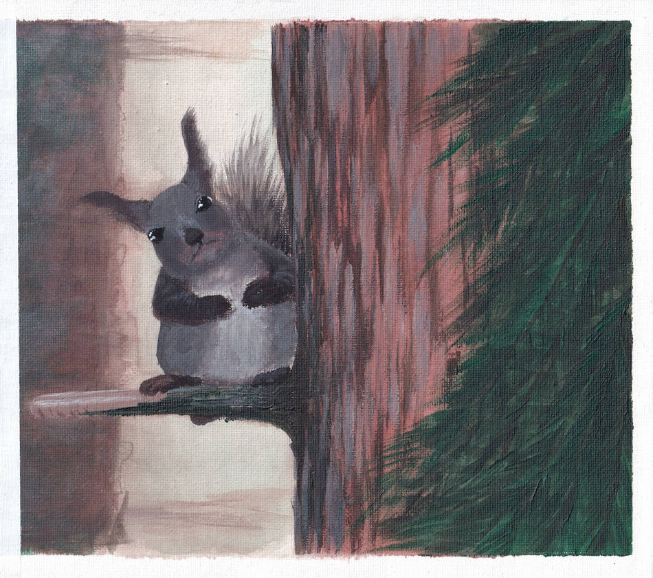 Dirpy Squirrel Grumpy Squirrel by Smehur on DeviantArt