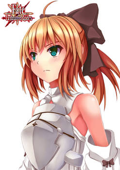 Saber Lily