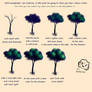 Tutorial - how to draw tree + VIDEO