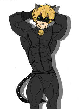 Commission: Chat Noir