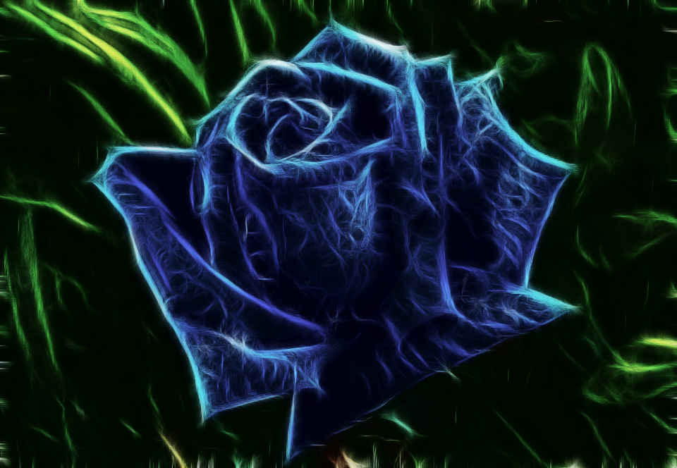 Bluerose