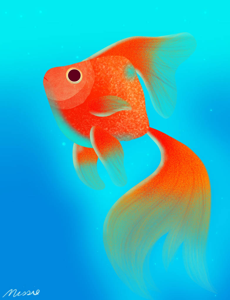 Deviantart 2007 Goldfish Goldfish by mommageek2 on DeviantArt