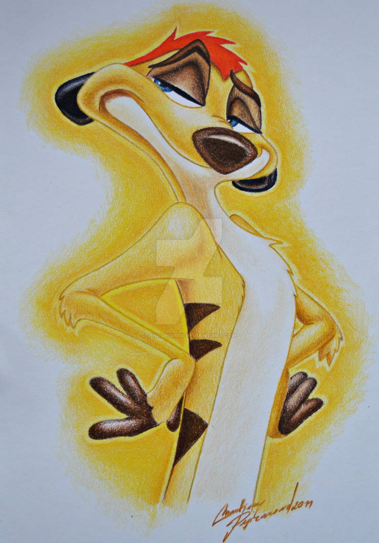 The Lion King - Timon by JuniorGibbs on DeviantArt