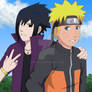 Sasuke and Naruto Road to Ninja