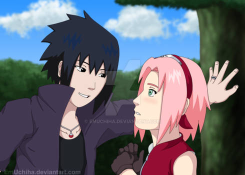 Sasuke and Sakura Road to Ninja