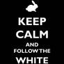 Keep calm and follow the white rabbit