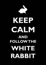 Keep calm and follow the white rabbit