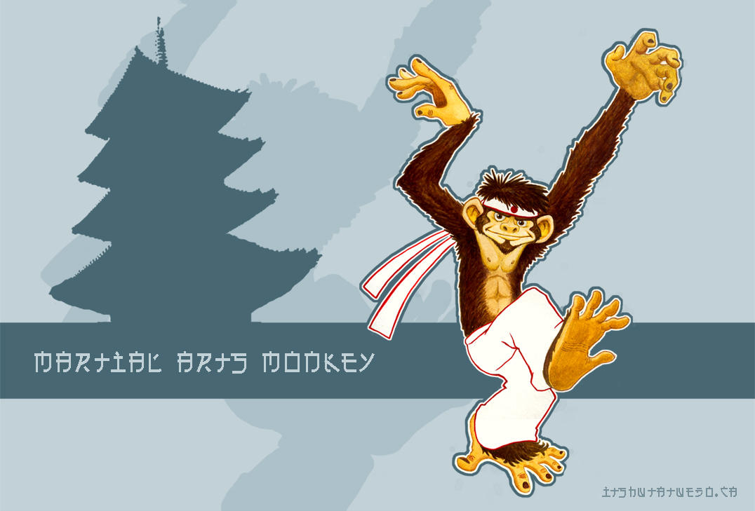MartialArts Monkey by theodorus on DeviantArt