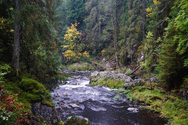 Autumn at the River