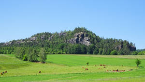 Rauenstein