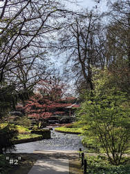 im Japanischen Garten