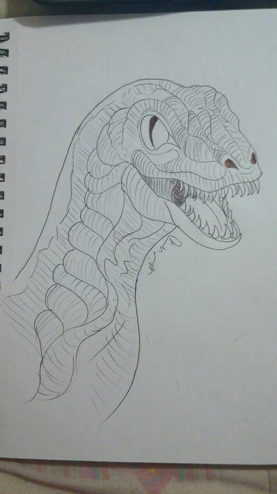 raptor drawing by MyInnerCivilWar on DeviantArt