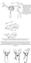 Basic Deer anatomy tutorial