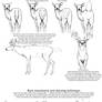 Basic Deer behavior tutorial