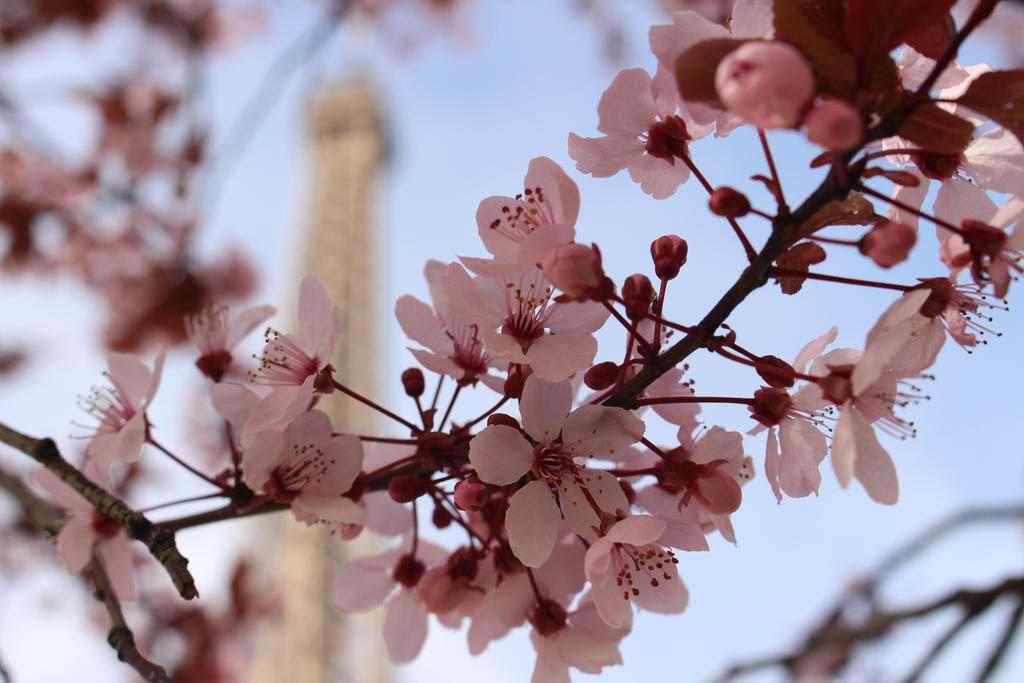 Tour Eiffel