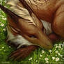 Breath of Spring