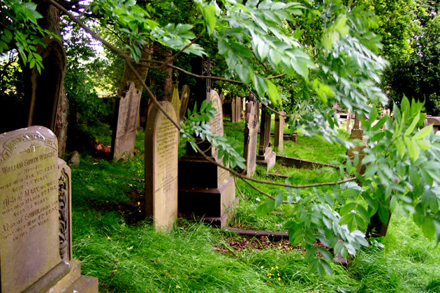 Churchyard with branch