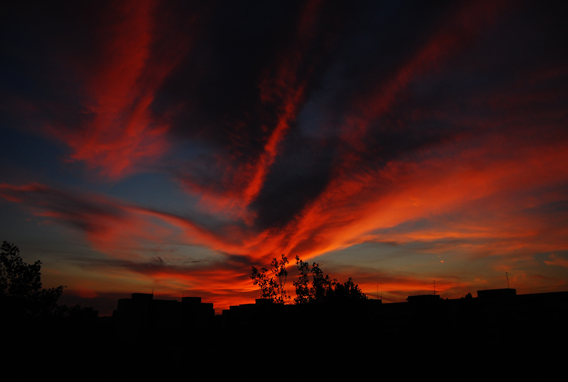 Burning summer evening