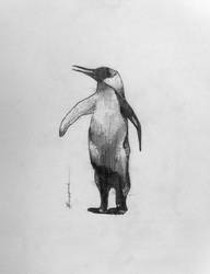 Croquis du jour: Pingouin [Bonus]